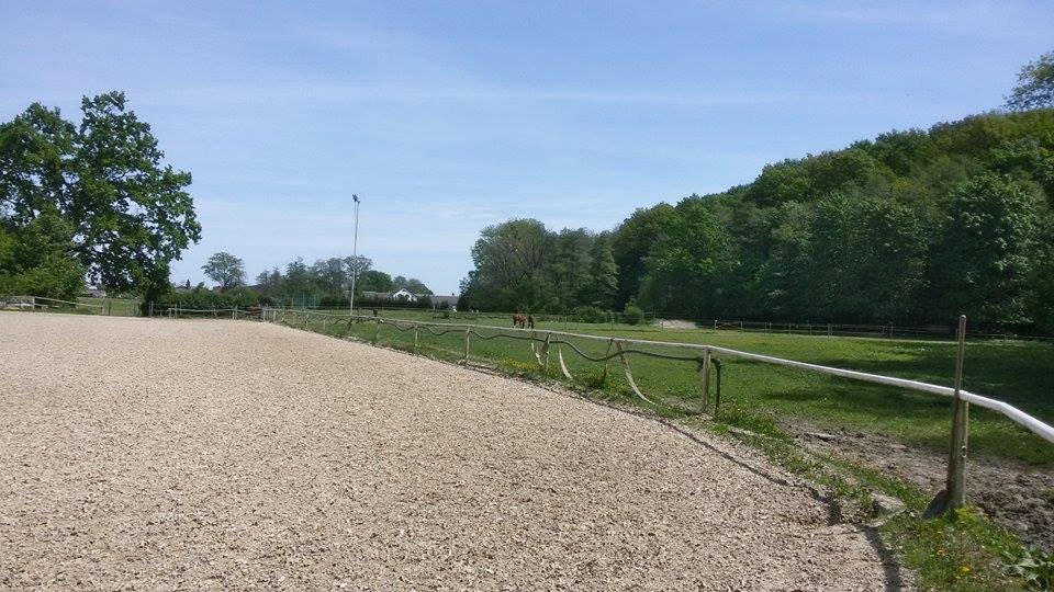 JK ProHorses Galerie 1