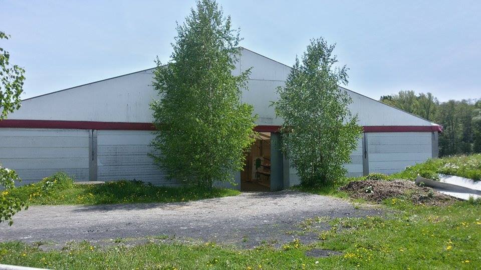 JK ProHorses Galerie 5