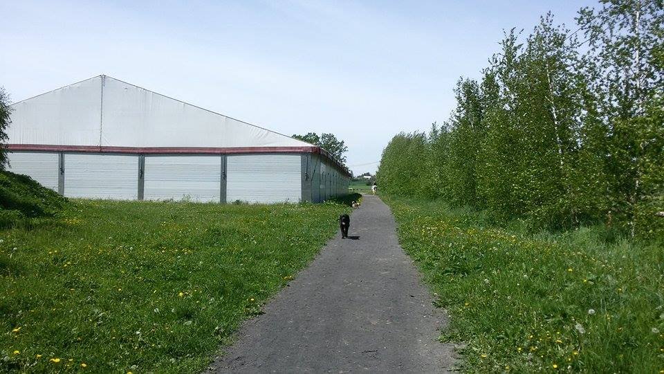 JK ProHorses Galerie 6